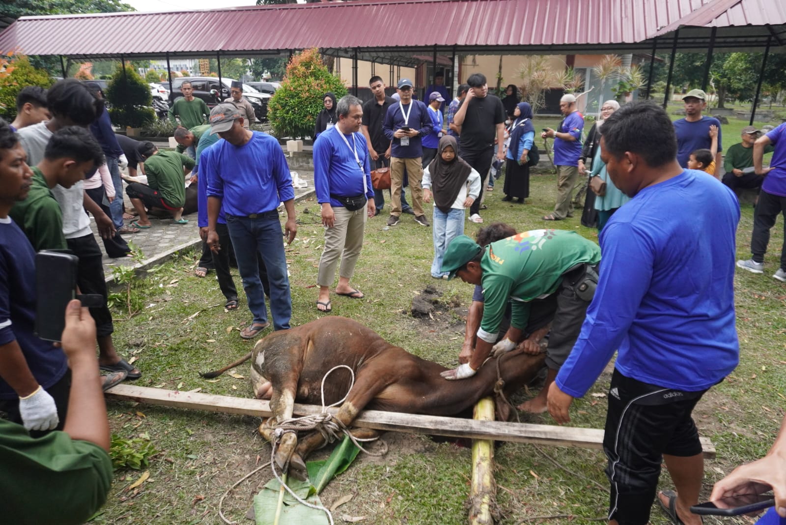 FISIP UNRI Kembali Gelar Qurban Tahun Ke-4, Perkuat Solidaritas dan Kepedulian Sosial
